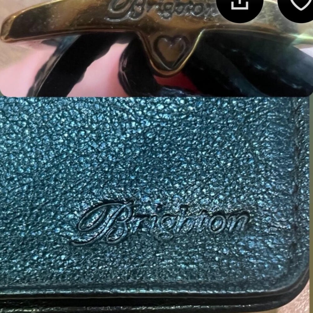 Brighton Emerald Reptile-Inspired Accessory - Picture 9 of 11